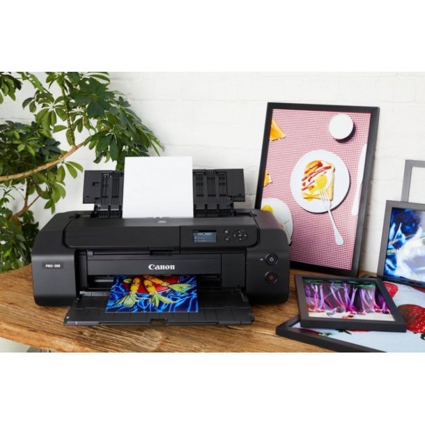 CANON PIXMA PRO-200S